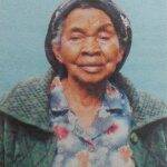 Obituary Image of Materemesia Amolo Oduor Nyamgero