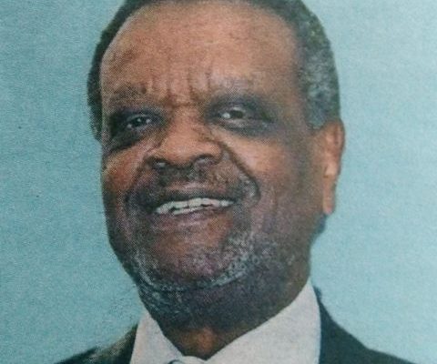 Obituary Image of Prof. David Makau Mulumba