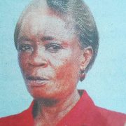 Obituary Image of Mama Cyprina Akeyo Abonyo  