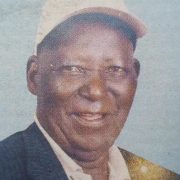 Obituary Image of Mzee Samson Ndungu Ngotho
